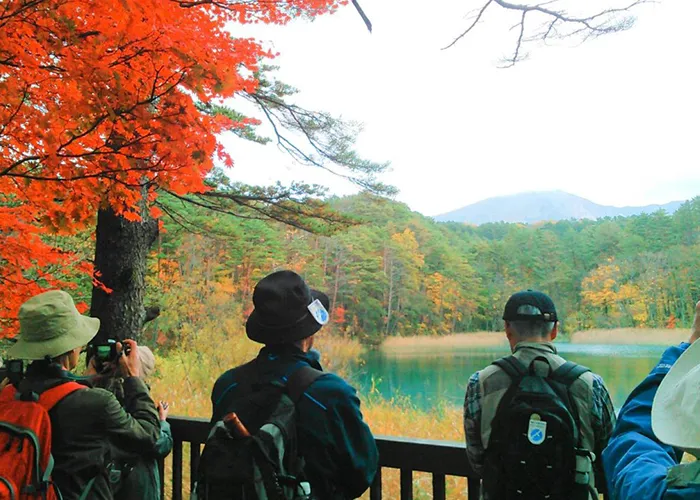 Autumn foliage at Goshikinuma and Mount Bandai