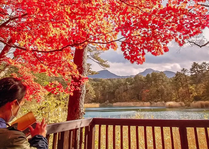 Autumn foliage at Goshikinuma Pond