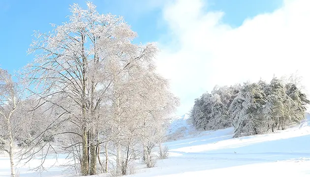 We will take you to a beautiful place with snow