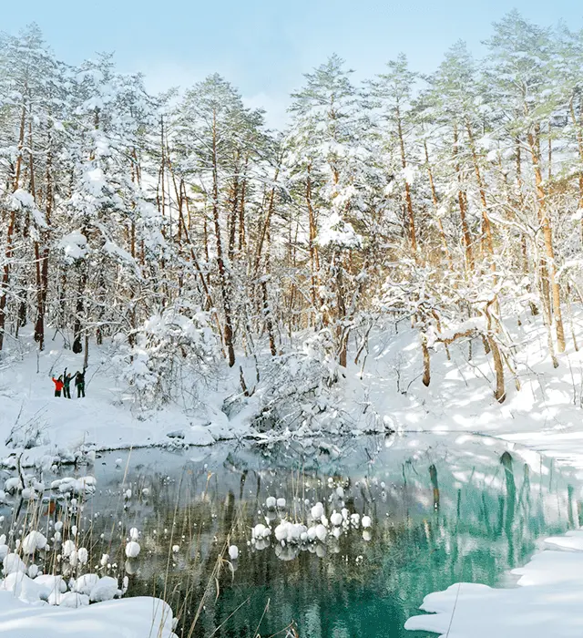 Heavy Snow Paradise