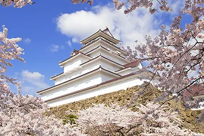 Tsurugajo Castle