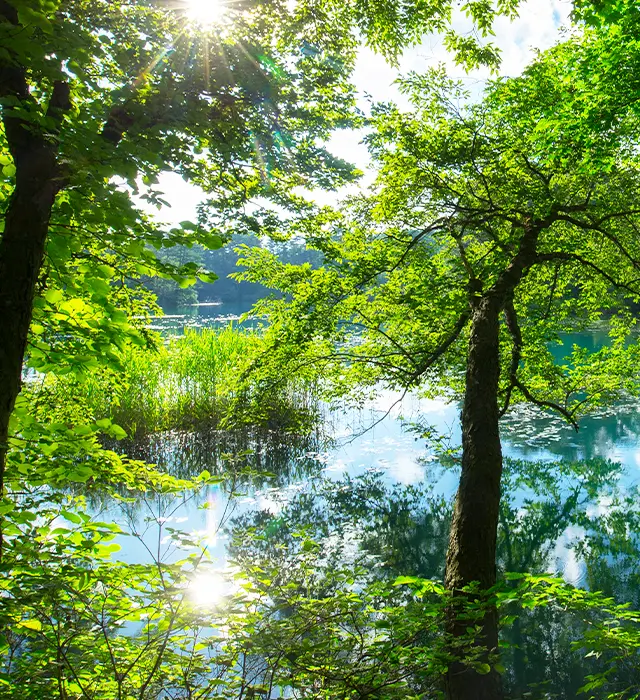 Spring in Urabandai never stops