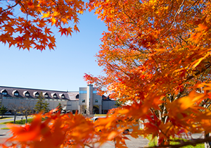 A hotel surrounded by autumn foliage