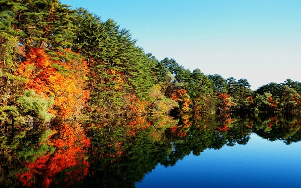 I have the autumn leaves all to myself.