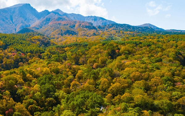 Climbing a mountain dyed in red, orange, and yellow.