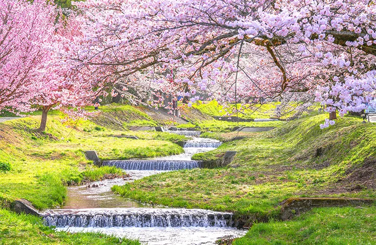 Kannonji River
