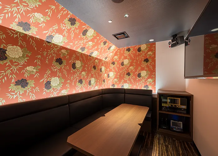 Karaoke Room