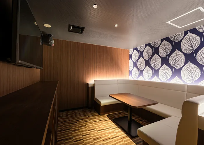 Karaoke Room