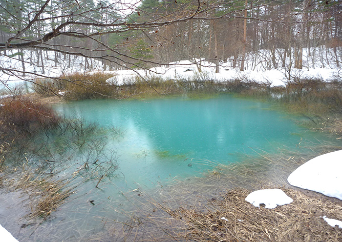 Winter activity example: A little snowshoeing. Head to the sparkling blue marshes and pure white forests.