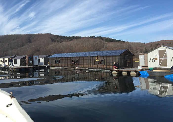 Winter activity example: Smelt fishing. No need for a car!
