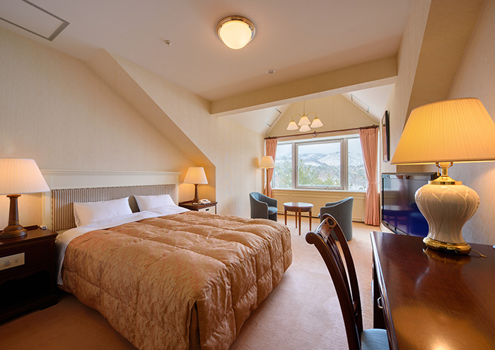 Double/34 square meters. A spacious room with a queen-size bed.