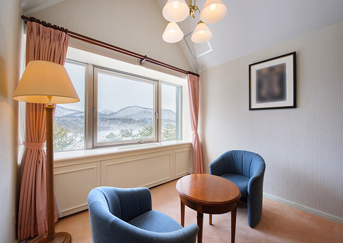 Double/34 square meters. A spacious room with a queen-size bed.