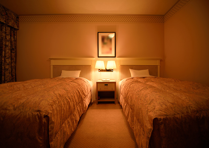 Standard Twin /36 square meters. A simple and comfortable twin room.