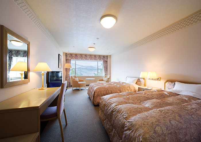 Superior Twin /41 square meters. A spacious twin room with a calm atmosphere.