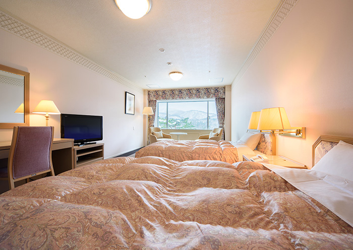 Superior Twin /41 square meters. A spacious twin room with a calm atmosphere.