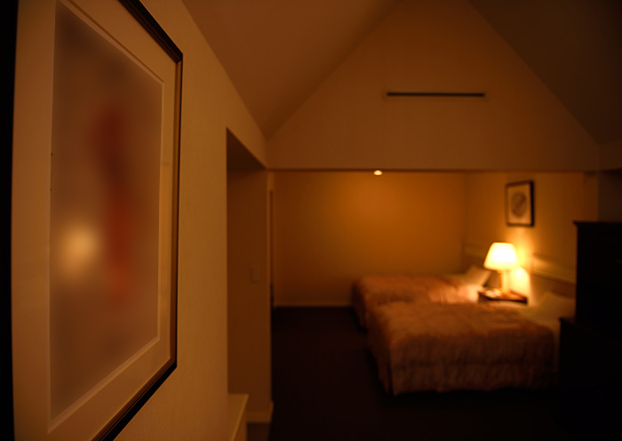 Deluxe Twin / 58 square meters. Penthouse with a front room located on the top floor.