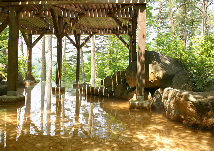 An open-air hot spring (women's bath) with water directly from the source.