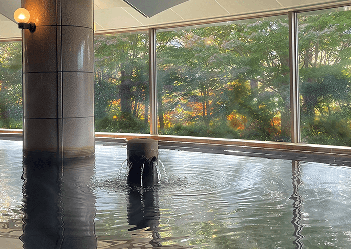 Indoor bath. Relax and enjoy the view from the large windows.
