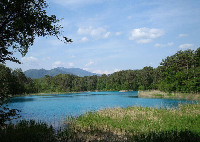 Goshikinuma/ Urabandai area. Goshikinuma displays a truly diverse range of shades of blue.