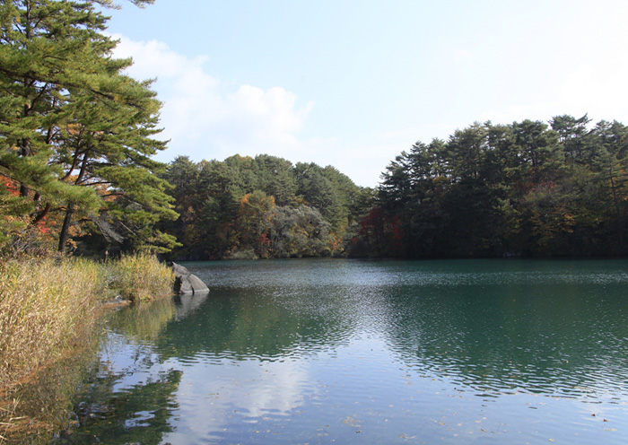Goshikinuma Ponds Trail / Urabandai Area. Enjoy a stroll here, suitable for people of all ages, from children to seniors.