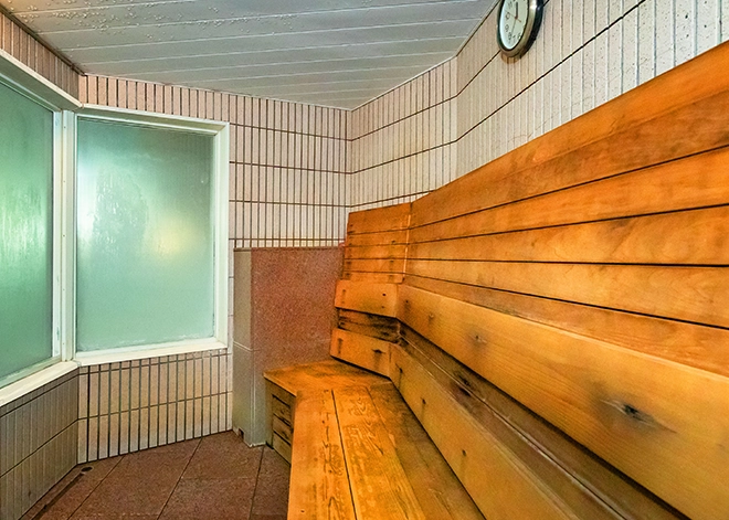 Steam sauna