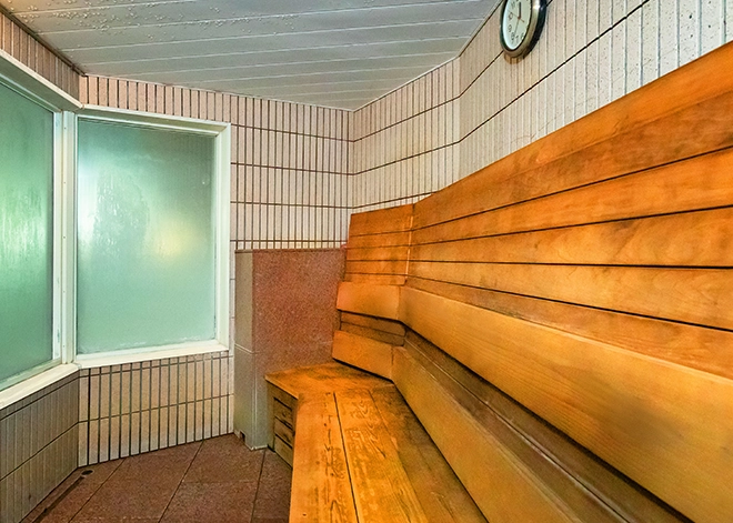 Steam sauna