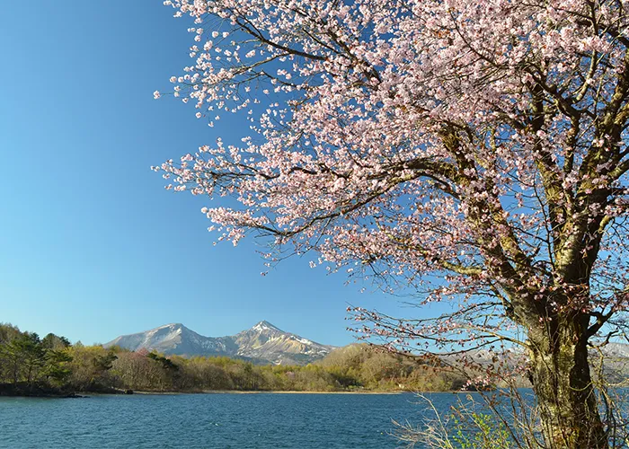 Spring Lake Hibara