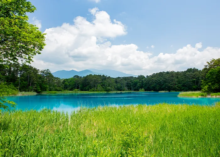 Summer Benten Pond