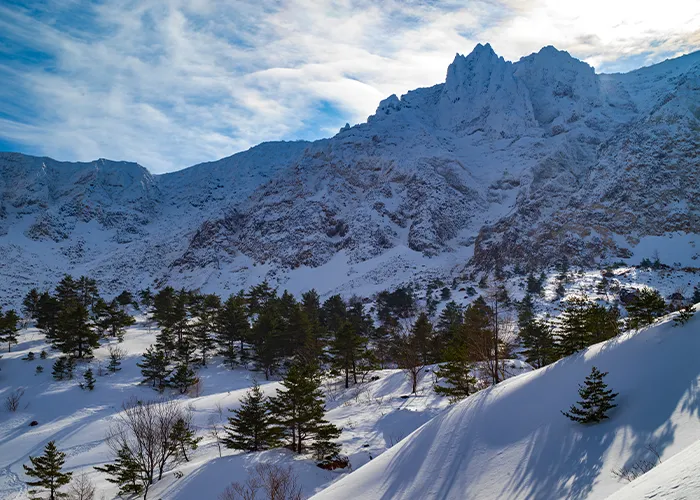 Winter Mount Bandai