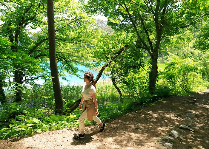 Goshikinuma in summer