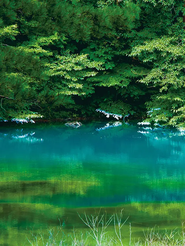 Goshiki-numa