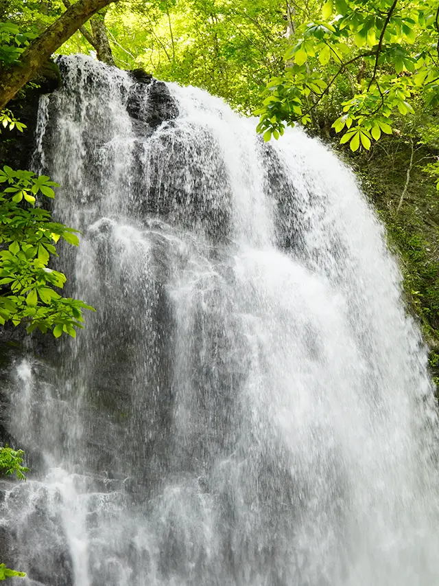 Onogawa Fudo Falls