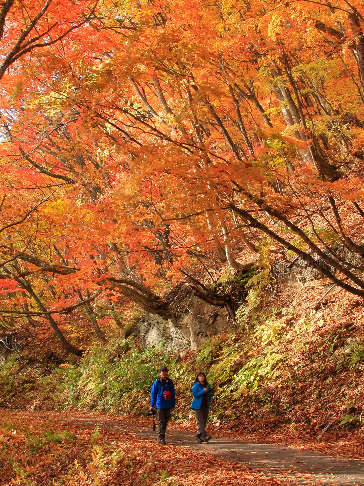 Nakatsugawa Valley