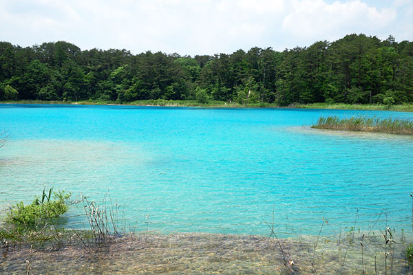 A special feature on Goshikinuma, one of Fukushima Prefecture's most popular tourist attractions, will be broadcast on NHK BS Premium.
