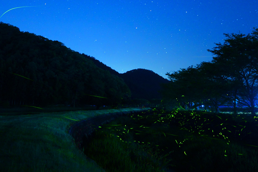 Nighttime treasure hunt and stargazing