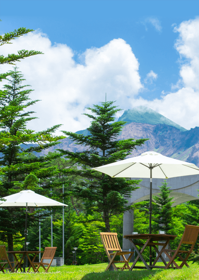 Our hotel's efforts regarding the Plastic Resource Recycling Promotion Act