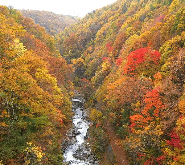 Autumn