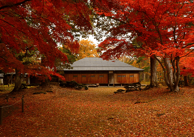 <Autumn> Autumn drive and plateau walk