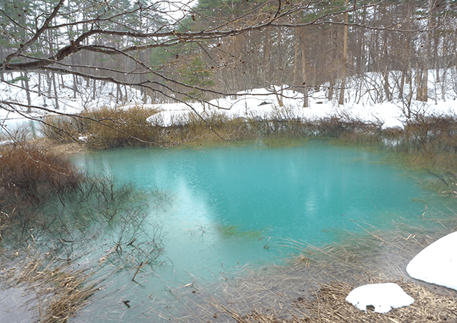 <Winter> A little snowshoeing