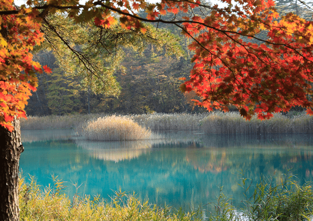 Lake Goshiki in autumn