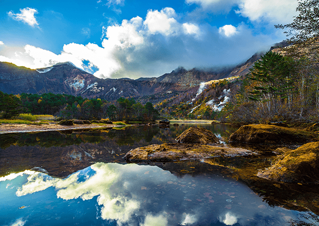 Copper Pond