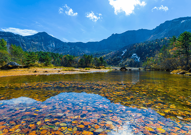 Copper Pond