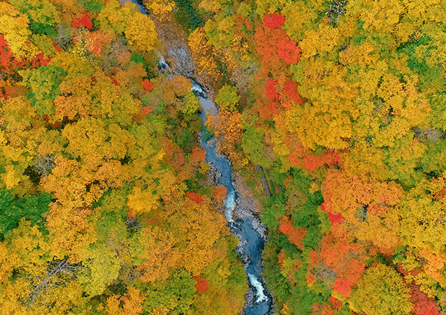 Autumn in Nakatsugawa Valley