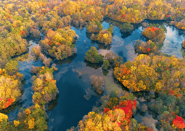 Autumn at Nakasenuma Pond