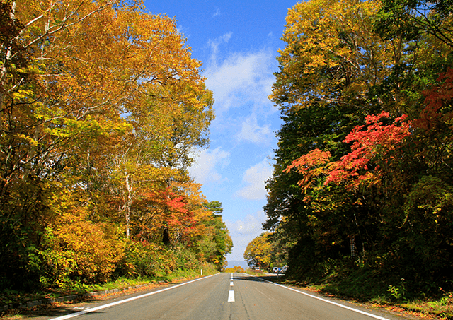 Autumn on Bandaisan Gold Line