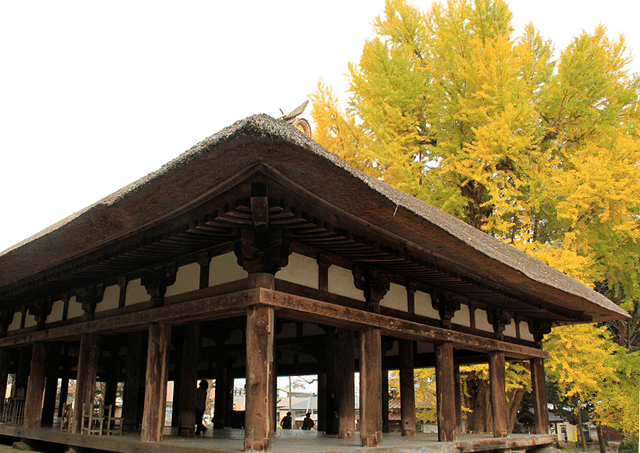 Shingu Kumano Shrine Nagatoko