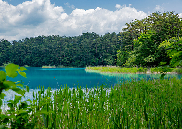 Mysterious Goshikinuma Trail Walking