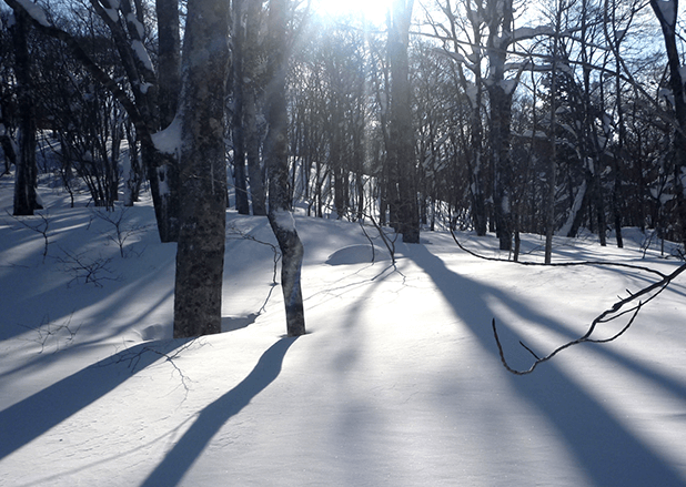 A little snowshoeing