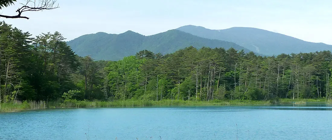 A stroll through the mysterious Goshikinuma
