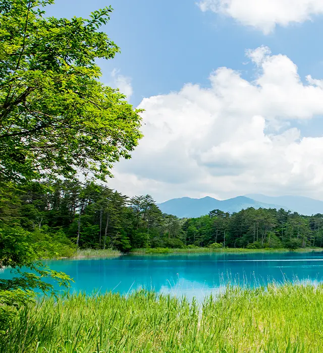 Goshikinuma Pond, adorned with lush greenery